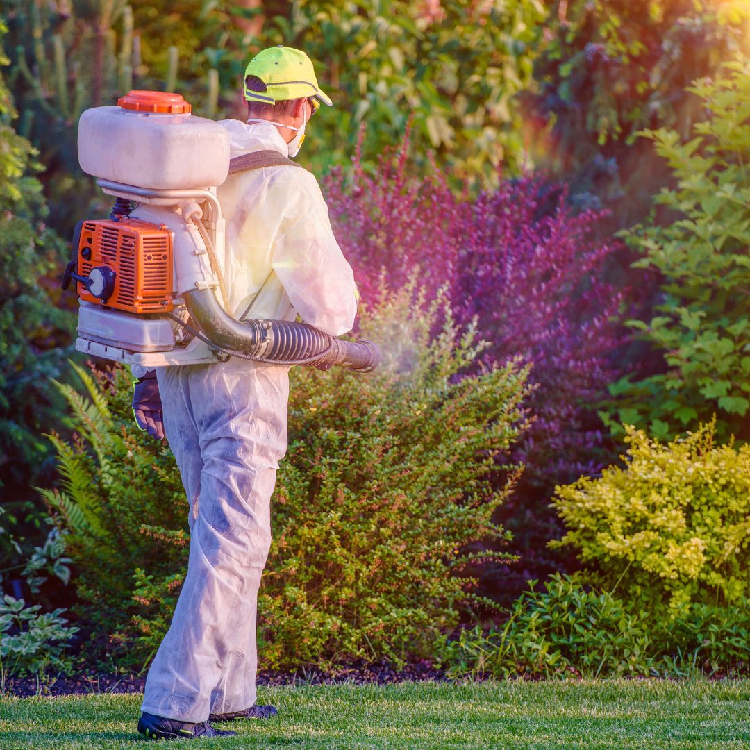 Pest Treatments
