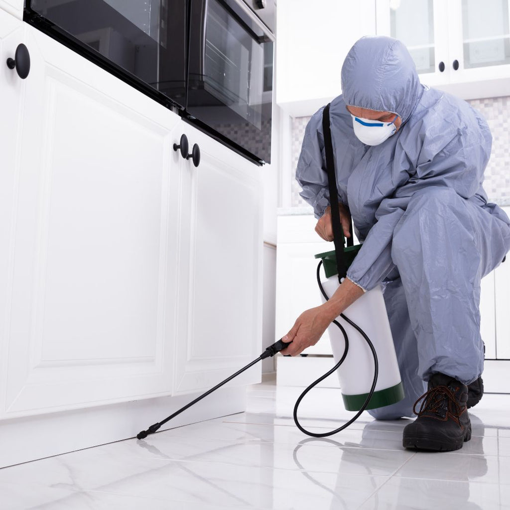 Effective Strategies for Managing Household Pests