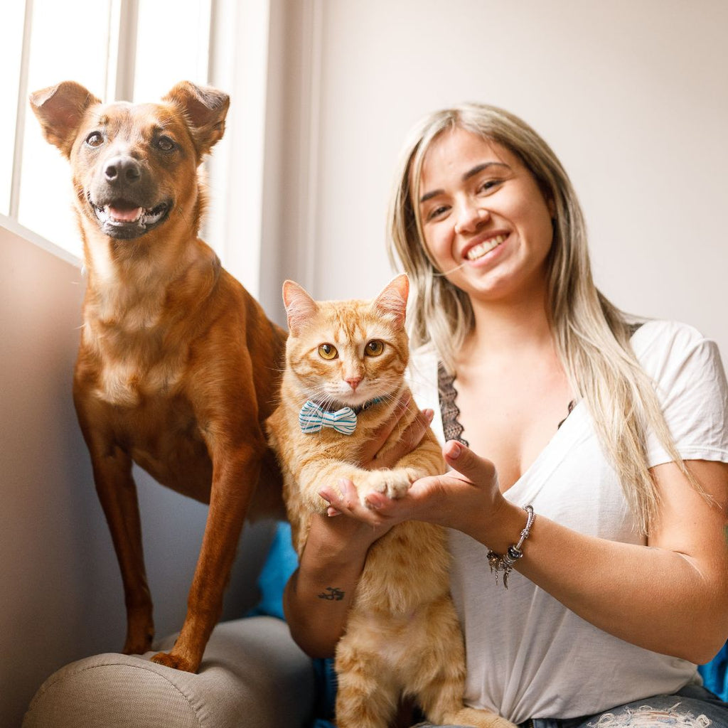 Pet Insurance