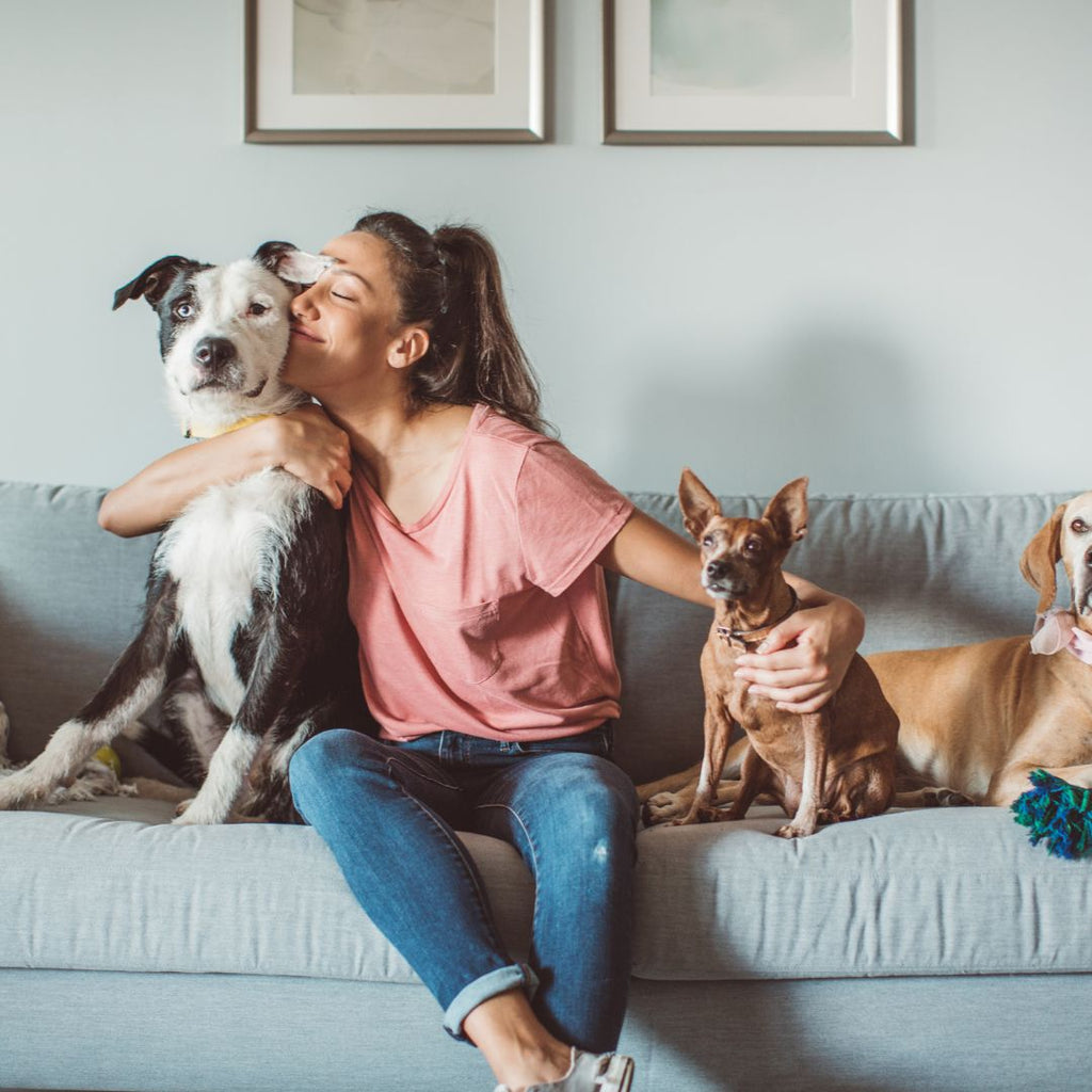 Being Around Animals