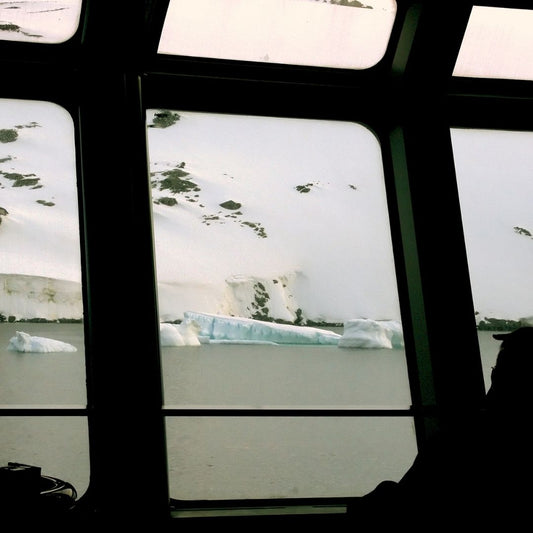 Polar Cruises: Available to Everyone