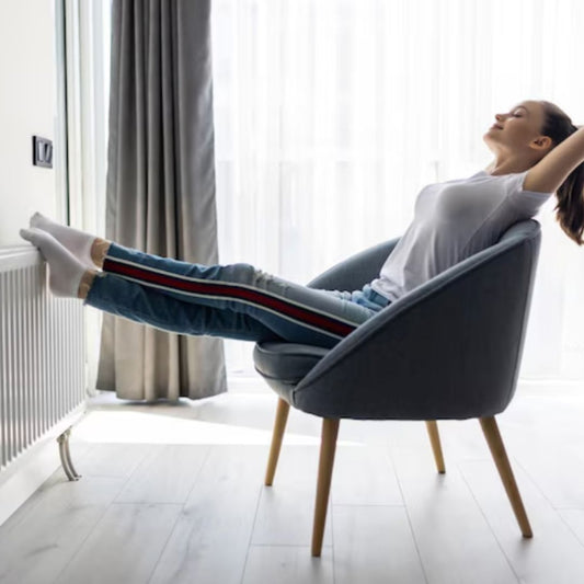 Professional Heating & Cooling Services