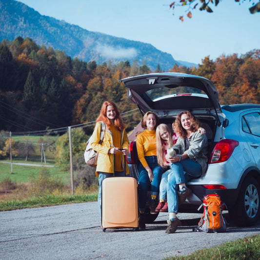 Mystery Road Trip