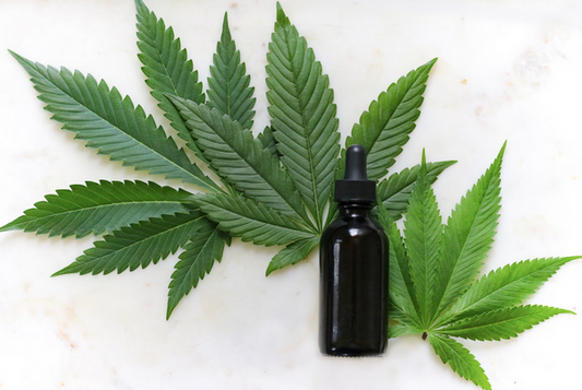 CBD Multivitamin: Holistic Beauty & Wellness Solution
