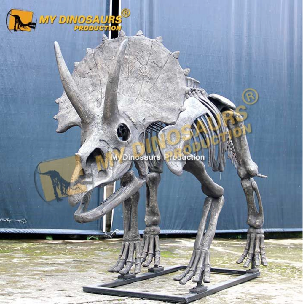 Dinosaur Skeletons