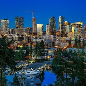 5 Ways to Incentivize Your Lifestyle while Planning to Settle Down in Bellevue, WA