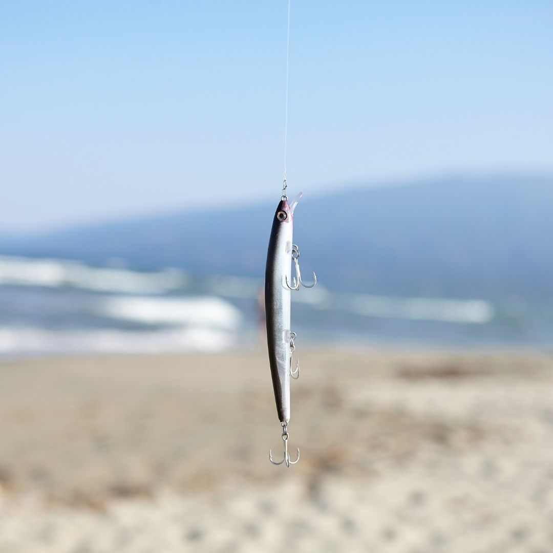 Top Natural Spinning Lures