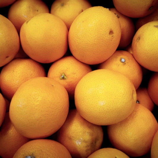 TOP 5 VITAMINS FOR MAN’S BRAIN HEALTH AND GOOD MEMORY