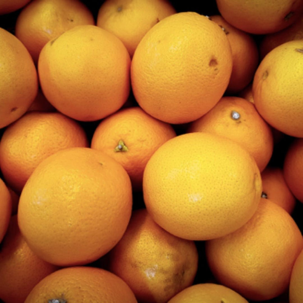 TOP 5 VITAMINS FOR MAN’S BRAIN HEALTH AND GOOD MEMORY