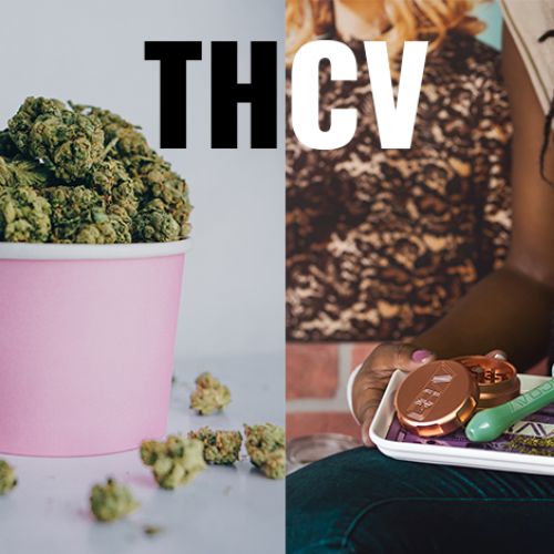 Guide to Tetrahydrocannabivarin: THCV