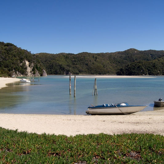 Saying We Do Again: Savvy Suggestions & Sweet Spots for Vow Renewals