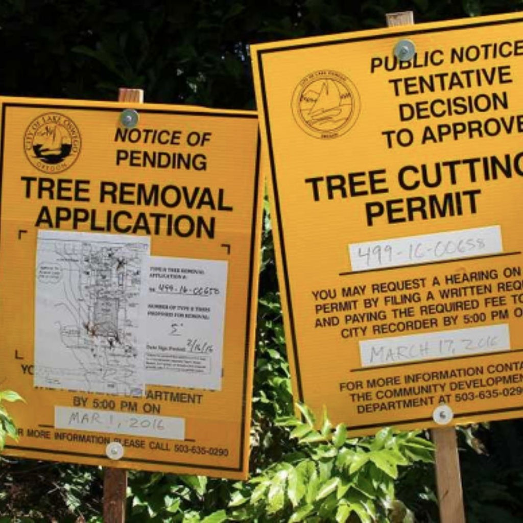 The Must-Do's for Tree Removal Permits