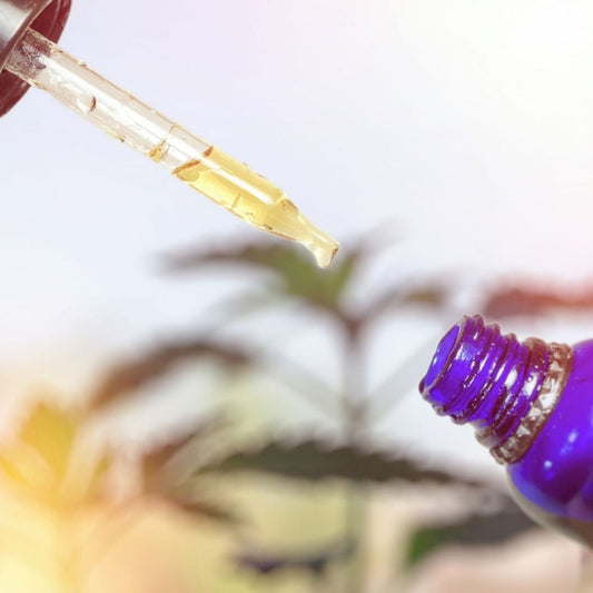 Tips on How to Spot Fake CBD Oils on the Market 
