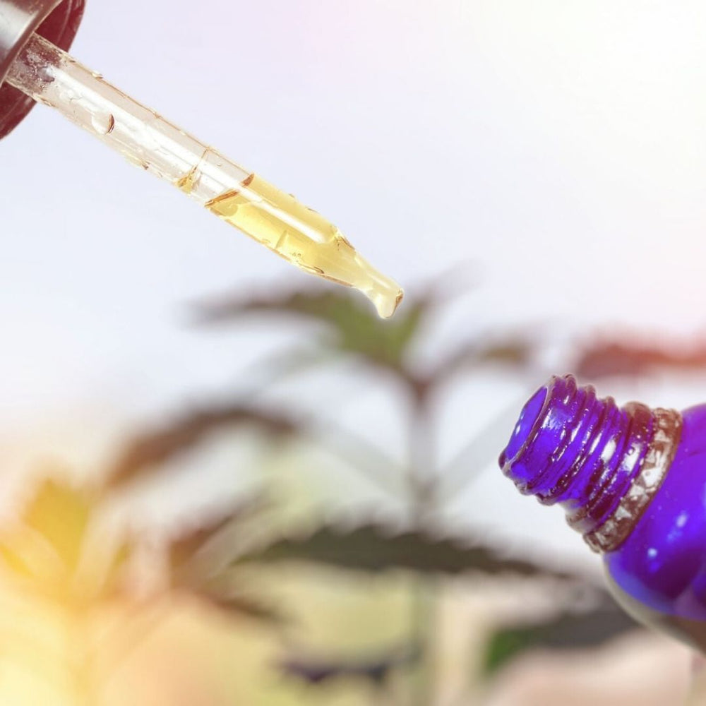Tips on How to Spot Fake CBD Oils on the Market 