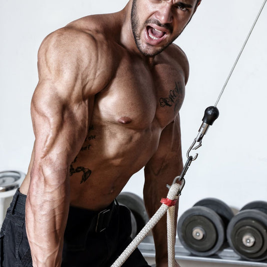 Triceps
