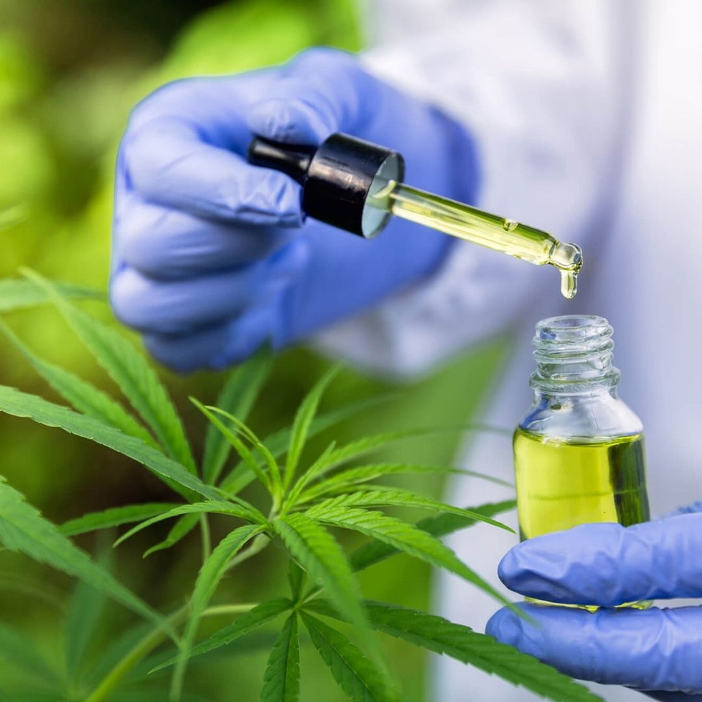 Understanding The Confusing World of Cannabis Oil