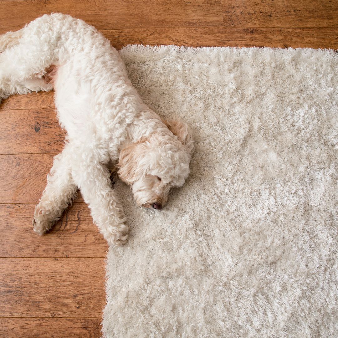 Pet and Kid-Friendly Living: Why Washable Rugs are a Game-Changer