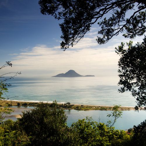 Exploring Whakatane: A Guide to the Best Things to Do