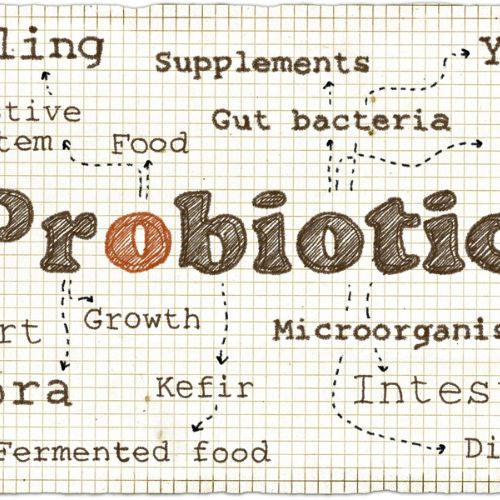 What Are Probiotics and Why Do Children Need Them?