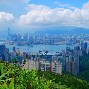 Why Hong Kong is The Coolest Place To Visit and Where To Go