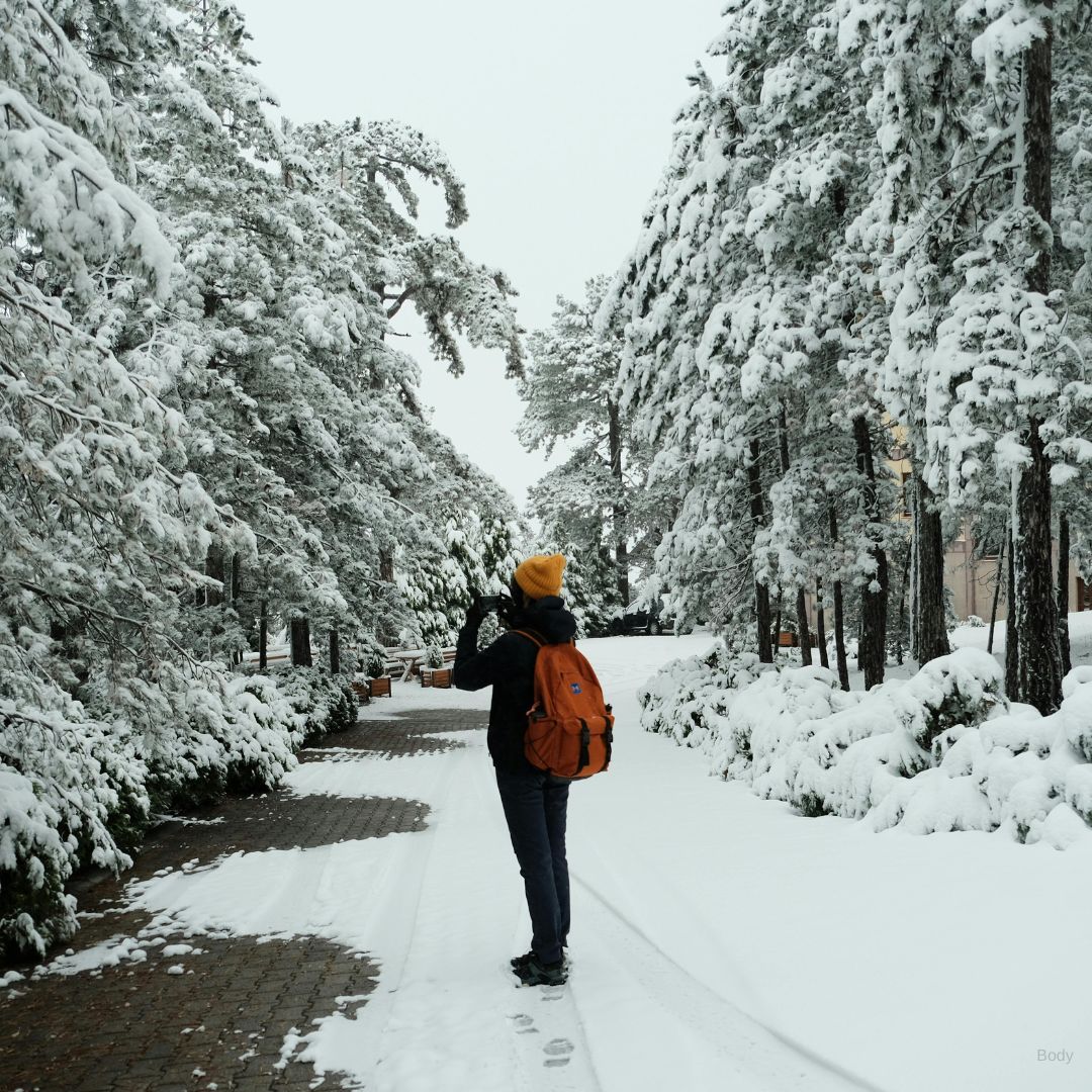 Winter Travel