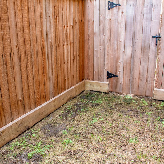 Yard Looks Dead