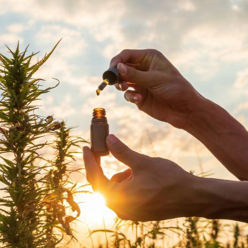 CBD for pain reelief