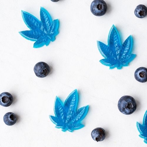 Best CBD Edibles: Find The Top Brands