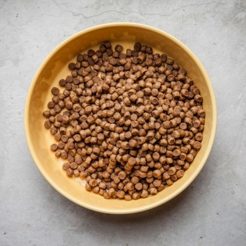 “Is freeze dried dog food better than raw?”