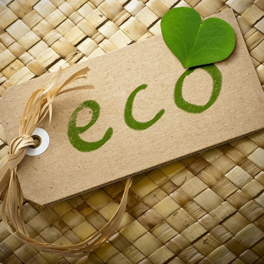 How Your Business Can Become More Eco-Friendly