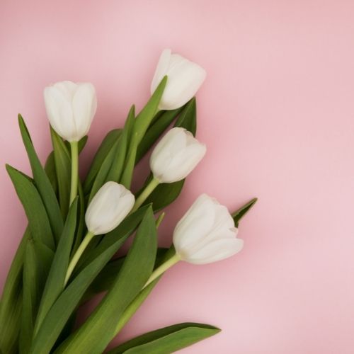 10 Health Benefits of Flowers