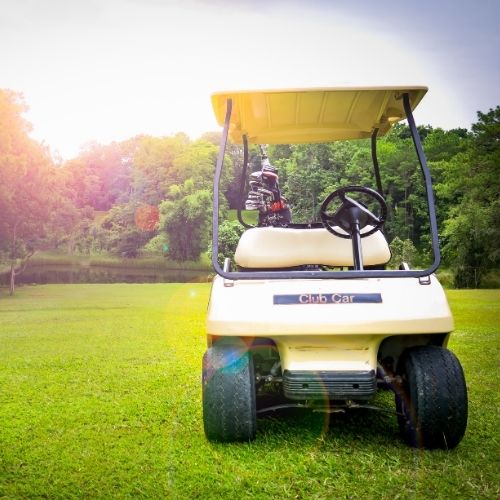 Why You Need to Have a Customized Golf Cart