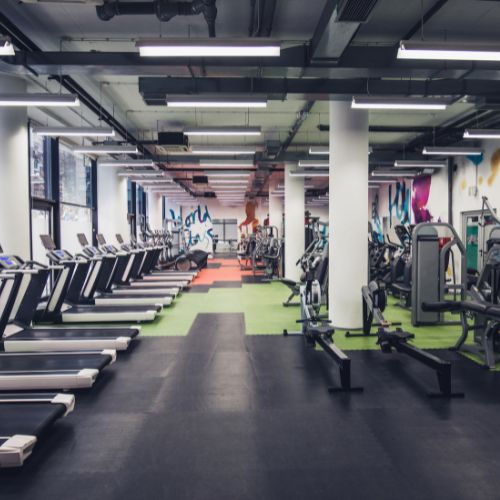 How Going to the Gym Can Boost Your GPA