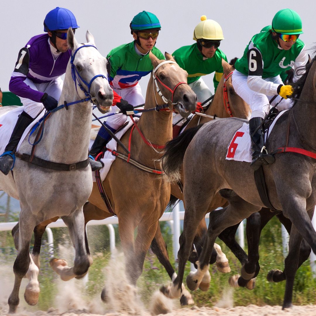 horse racing