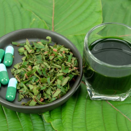 Advantages of Kratom Extract Explained