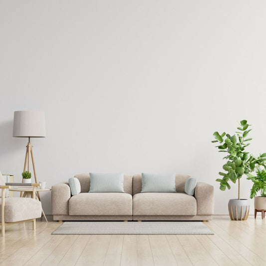 Furnish a Minimalist Home