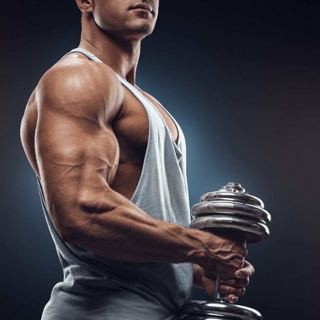 4 Ingredients to Look for in a Muscle Building Supplement