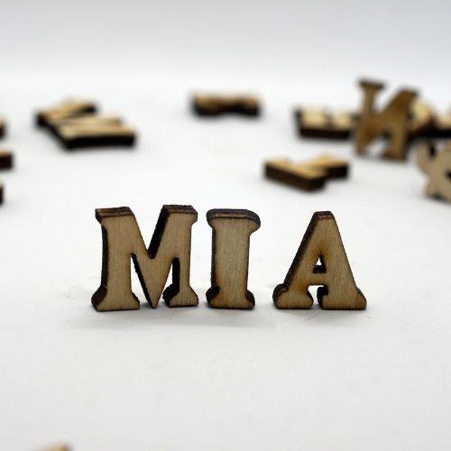 Popular Name Searches Can Tell About Historical Events