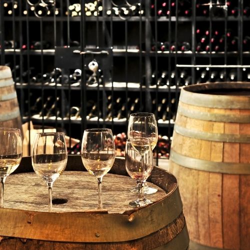 6 Reasons Why You Should Go on a Wine Tour